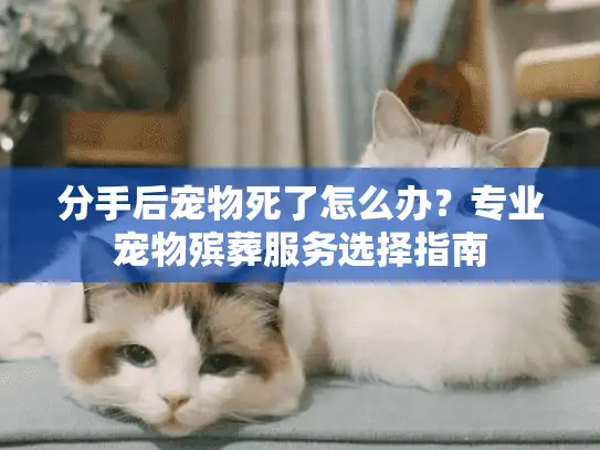 分手后宠物死了怎么办?专业宠物殡葬服务选择指南 分手后宠物死了怎么办?专业宠物殡葬服务选择指南