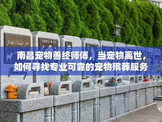 南昌宠物善终师傅，当宠物离世，如何寻找专业可靠的宠物殡葬服务？