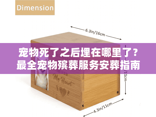 宠物死了之后埋在哪里了？最全宠物殡葬服务安葬指南