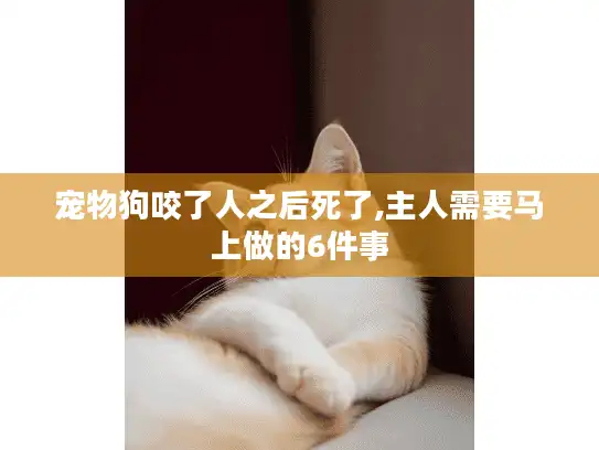 宠物狗咬了人之后死了,主人需要马上做的6件事 宠物狗咬了人之后死了,主人需要马上做的6件事