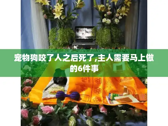 宠物狗咬了人之后死了,主人需要马上做的6件事 宠物狗咬了人之后死了,主人需要马上做的6件事