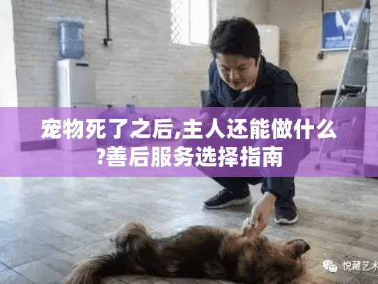 宠物死了之后,主人还能做什么?善后服务选择指南