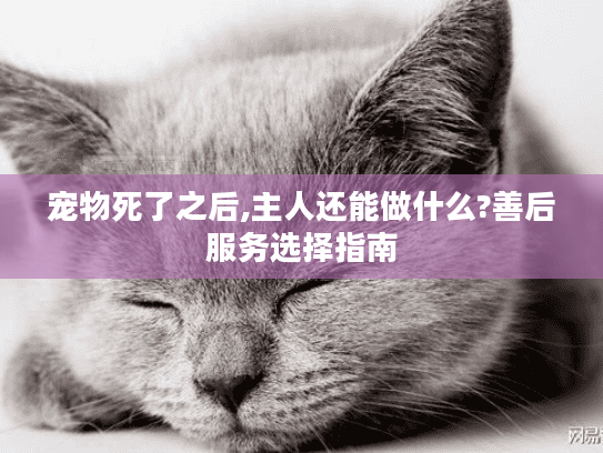 宠物死了之后,主人还能做什么?善后服务选择指南