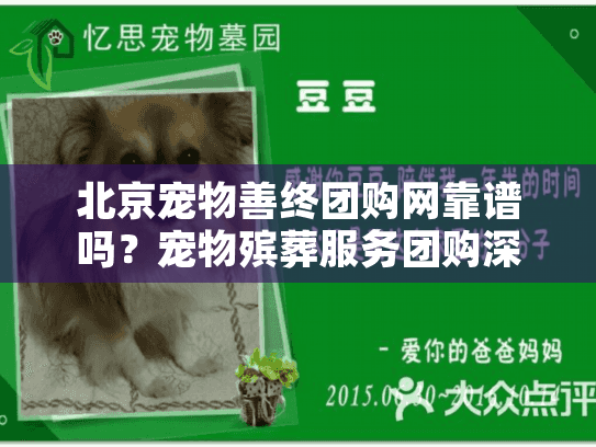 北京宠物善终团购网靠谱吗？宠物殡葬服务团购深度推荐