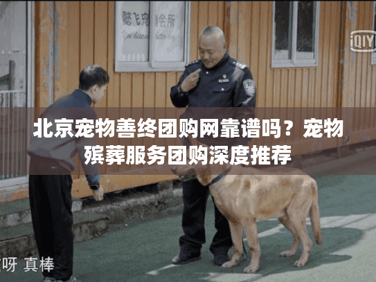 北京宠物善终团购网靠谱吗？宠物殡葬服务团购深度推荐