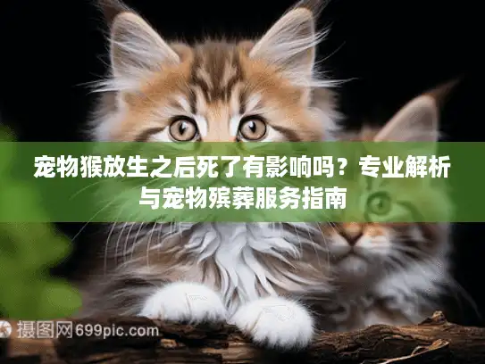 宠物猴放生之后死了有影响吗？专业解析与宠物殡葬服务指南
