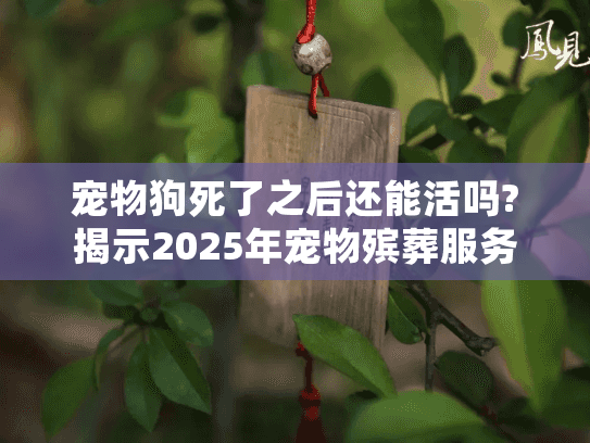 宠物狗死了之后还能活吗?揭示2025年宠物殡葬服务新趋势 宠物狗死了之后还能活吗?揭示2025年宠物殡葬服务新趋势