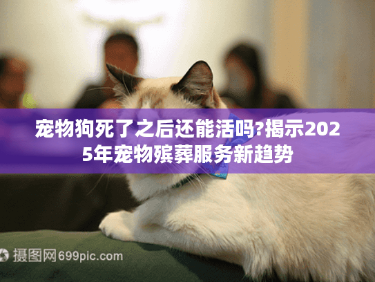 宠物狗死了之后还能活吗?揭示2025年宠物殡葬服务新趋势 宠物狗死了之后还能活吗?揭示2025年宠物殡葬服务新趋势