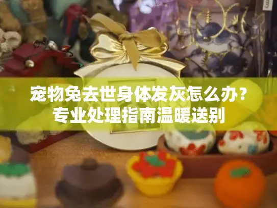 宠物兔去世身体发灰怎么办?专业处理指南温暖送别 宠物兔去世身体发灰怎么办?专业处理指南温暖送别