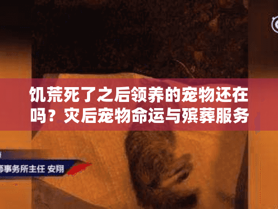 饥荒死了之后领养的宠物还在吗?灾后宠物命运与殡葬服务全面解析 饥荒死了之后领养的宠物还在吗?灾后宠物命运与殡葬服务全面解析