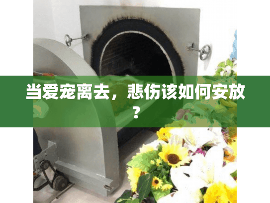 当爱宠离去,悲伤该如何安放? 当爱宠离去,悲伤该如何安放?