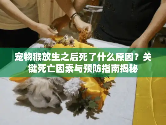 宠物猴放生之后死了什么原因？关键死亡因素与预防指南揭秘