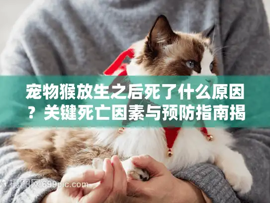 宠物猴放生之后死了什么原因？关键死亡因素与预防指南揭秘