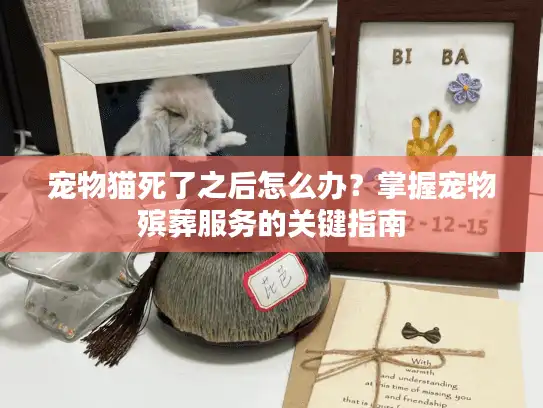 宠物猫死了之后怎么办？掌握宠物殡葬服务的关键指南