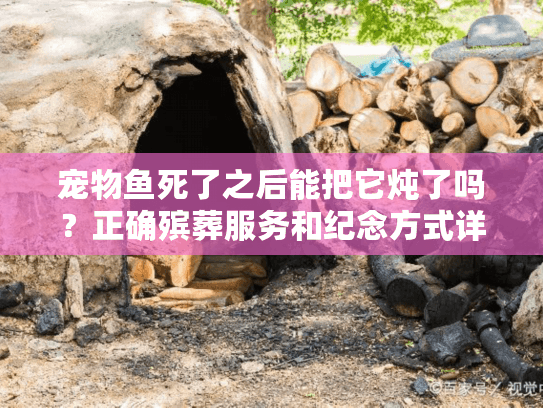 宠物鱼死了之后能把它炖了吗？正确殡葬服务和纪念方式详解