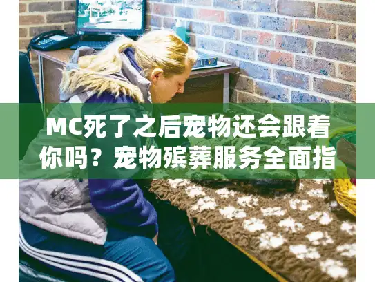 MC死了之后宠物还会跟着你吗？宠物殡葬服务全面指南