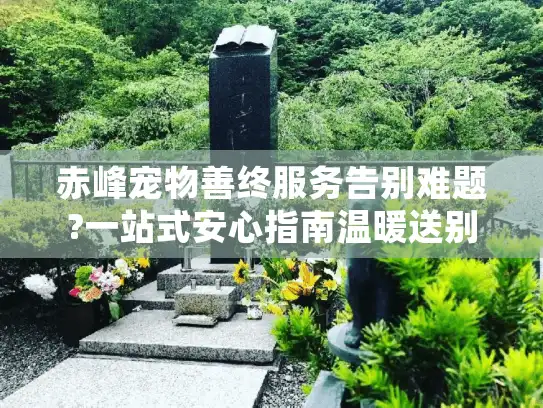 赤峰宠物善终服务告别难题?一站式安心指南温暖送别爱宠