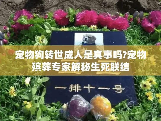 宠物狗转世成人是真事吗?宠物殡葬专家解秘生死联结