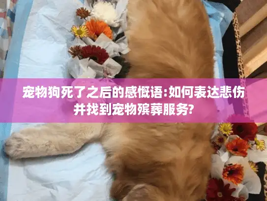 宠物狗死了之后的感慨语:如何表达悲伤并找到宠物殡葬服务? 宠物狗死了之后的感慨语:如何表达悲伤并找到宠物殡葬服务?
