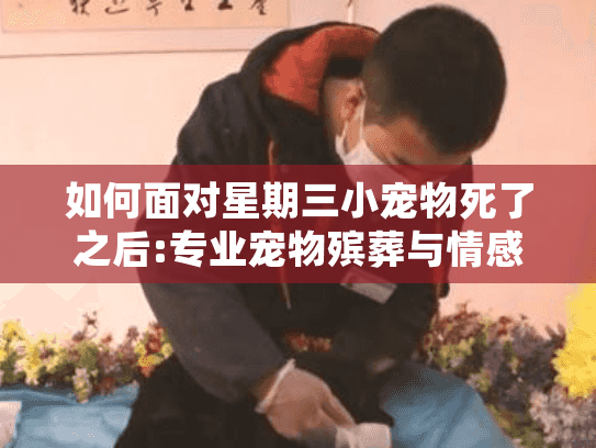 如何面对星期三小宠物死了之后:专业宠物殡葬与情感支持指南
