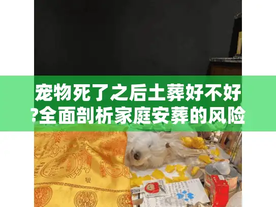 宠物死了之后土葬好不好?全面剖析家庭安葬的风险与替代方案