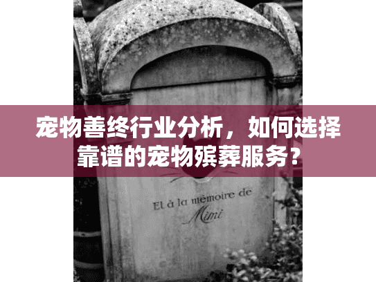 宠物善终行业分析，如何选择靠谱的宠物殡葬服务？
