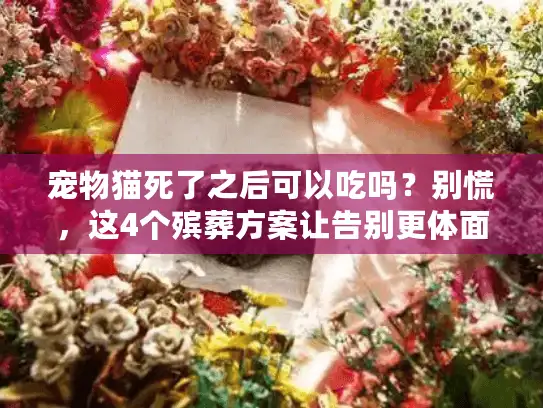 宠物猫死了之后可以吃吗？别慌，这4个殡葬方案让告别更体面