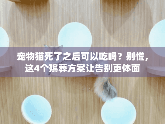 宠物猫死了之后可以吃吗？别慌，这4个殡葬方案让告别更体面