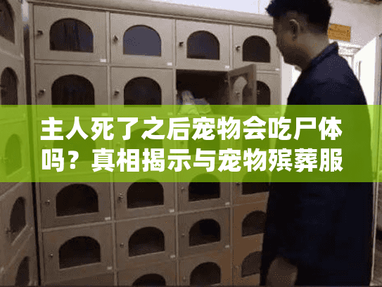 主人死了之后宠物会吃尸体吗?真相揭示与宠物殡葬服务解决方案 主人死了之后宠物会吃尸体吗?真相揭示与宠物殡葬服务解决方案