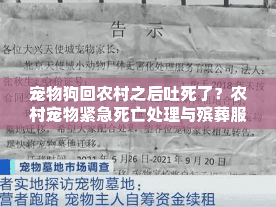 宠物狗回农村之后吐死了？农村宠物紧急死亡处理与殡葬服务指南