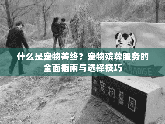 什么是宠物善终？宠物殡葬服务的全面指南与选择技巧