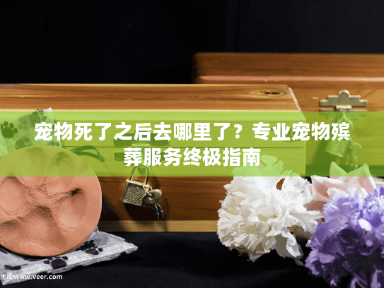 宠物死了之后去哪里了？专业宠物殡葬服务终极指南