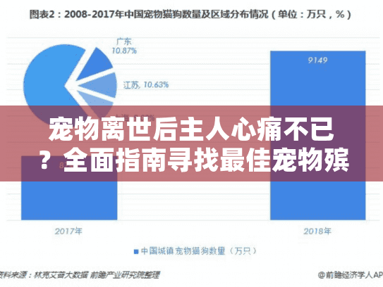 宠物离世后主人心痛不已？全面指南寻找最佳宠物殡葬服务