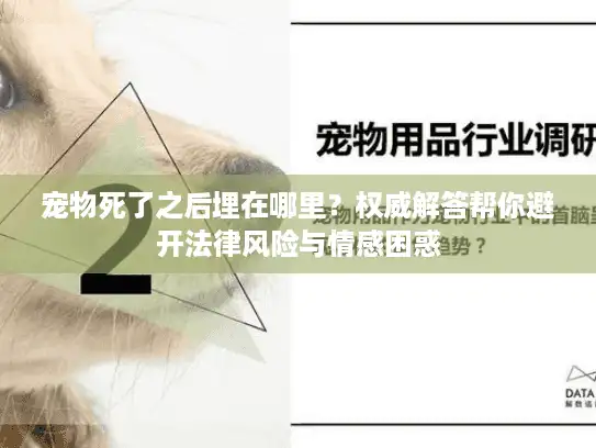 宠物死了之后埋在哪里？权威解答帮你避开法律风险与情感困惑