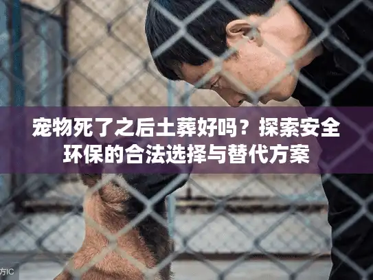 宠物死了之后土葬好吗?探索安全环保的合法选择与替代方案 宠物死了之后土葬好吗?探索安全环保的合法选择与替代方案