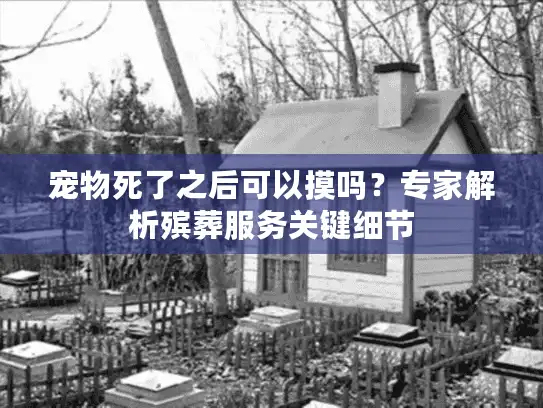 宠物死了之后可以摸吗？专家解析殡葬服务关键细节