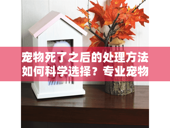 宠物死了之后的处理方法如何科学选择?专业宠物殡葬服务费用指南 宠物死了之后的处理方法如何科学选择?专业宠物殡葬服务费用指南
