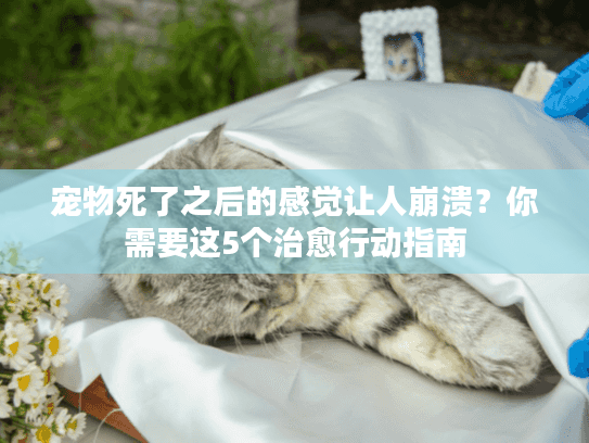 宠物死了之后的感觉让人崩溃?你需要这5个治愈行动指南 宠物死了之后的感觉让人崩溃?你需要这5个治愈行动指南