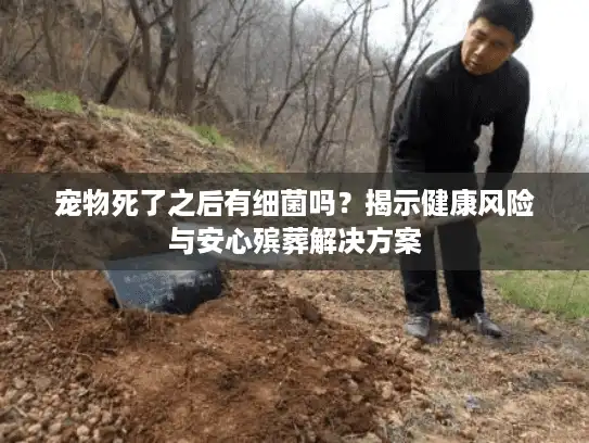 宠物死了之后有细菌吗？揭示健康风险与安心殡葬解决方案