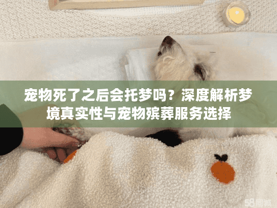 宠物死了之后会托梦吗？深度解析梦境真实性与宠物殡葬服务选择