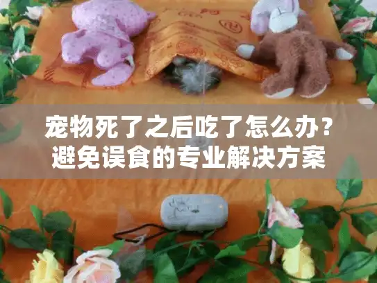宠物死了之后吃了怎么办？避免误食的专业解决方案