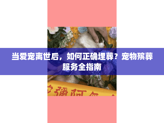 当爱宠离世后，如何正确埋葬？宠物殡葬服务全指南