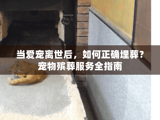 当爱宠离世后，如何正确埋葬？宠物殡葬服务全指南