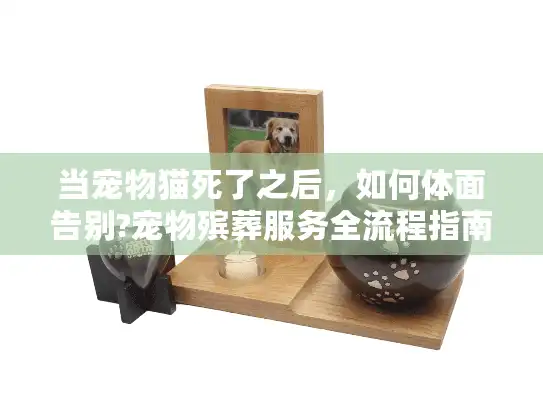 当宠物猫死了之后,如何体面告别?宠物殡葬服务全流程指南 当宠物猫死了之后,如何体面告别?宠物殡葬服务全流程指南
