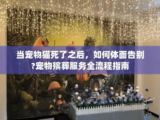 当宠物猫死了之后,如何体面告别?宠物殡葬服务全流程指南 当宠物猫死了之后,如何体面告别?宠物殡葬服务全流程指南