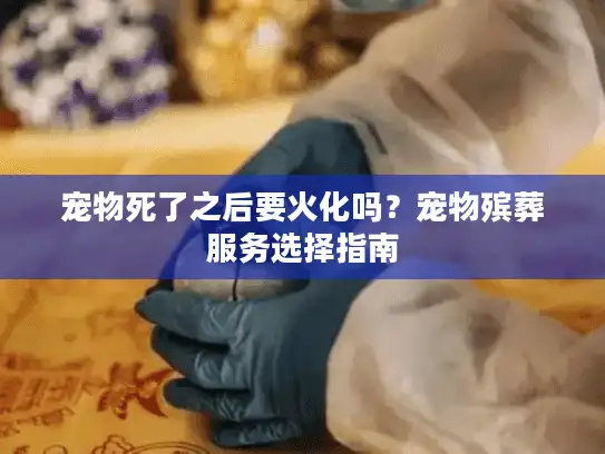 宠物死了之后要火化吗?宠物殡葬服务选择指南 宠物死了之后要火化吗?宠物殡葬服务选择指南
