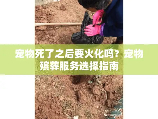 宠物死了之后要火化吗?宠物殡葬服务选择指南 宠物死了之后要火化吗?宠物殡葬服务选择指南