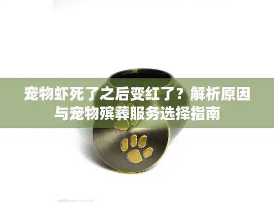 宠物虾死了之后变红了？解析原因与宠物殡葬服务选择指南