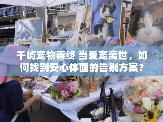 千屿宠物善终 当爱宠离世，如何找到安心体面的告别方案？