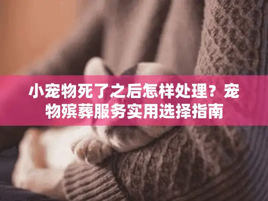 小宠物死了之后怎样处理？宠物殡葬服务实用选择指南
